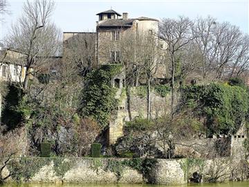 Château de l'Île Barbe (le Châtelard)