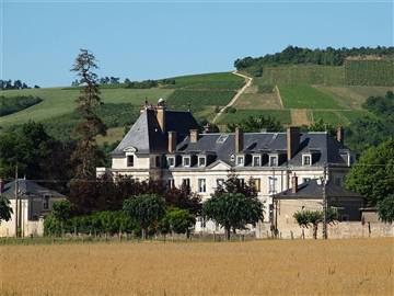 Château de Vincelles